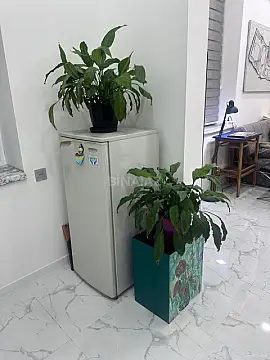 Kirayə verilir 1 otaqlı ofis 40 m²
