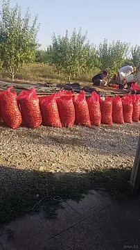 Satılır torpaq sahəsi 800 m²