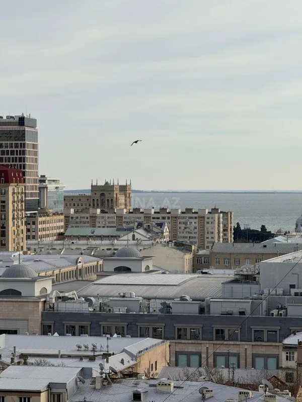 Satılır 4 otaqlı mənzil 223 m²