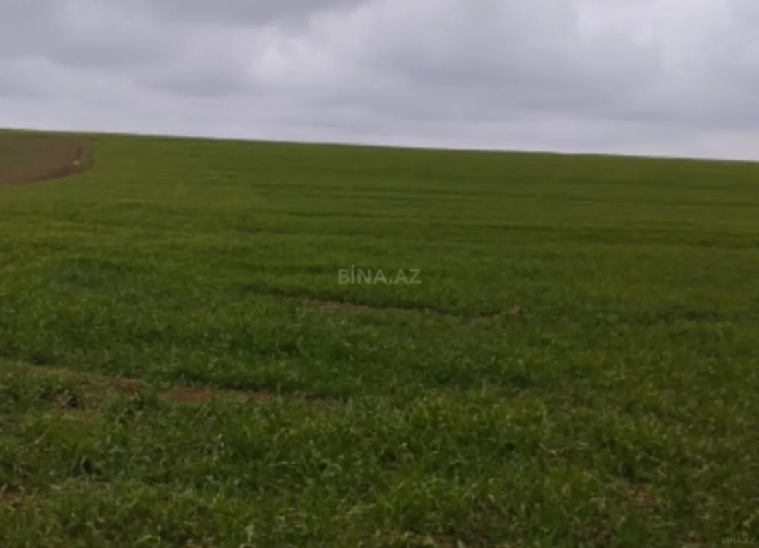 Satılır torpaq sahəsi 280 m²