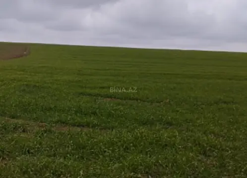 Satılır torpaq sahəsi 280 m² — Sabirabad 280.00 m²