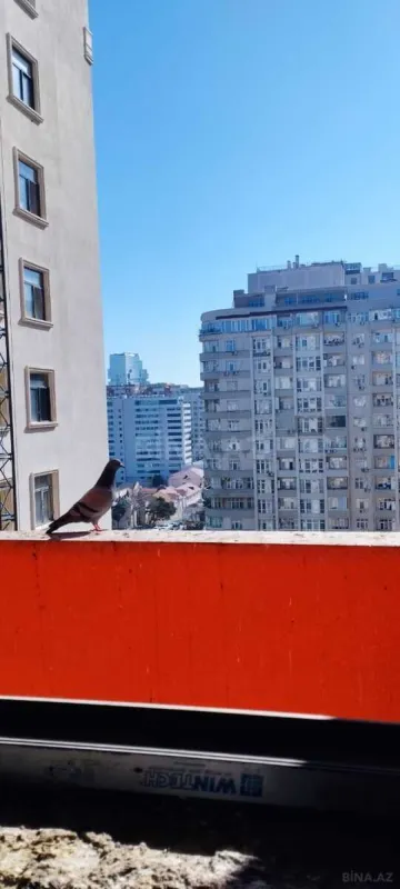 Satılır 1 otaqlı mənzil 47 m²