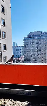 Satılır 1 otaqlı mənzil 47 m²