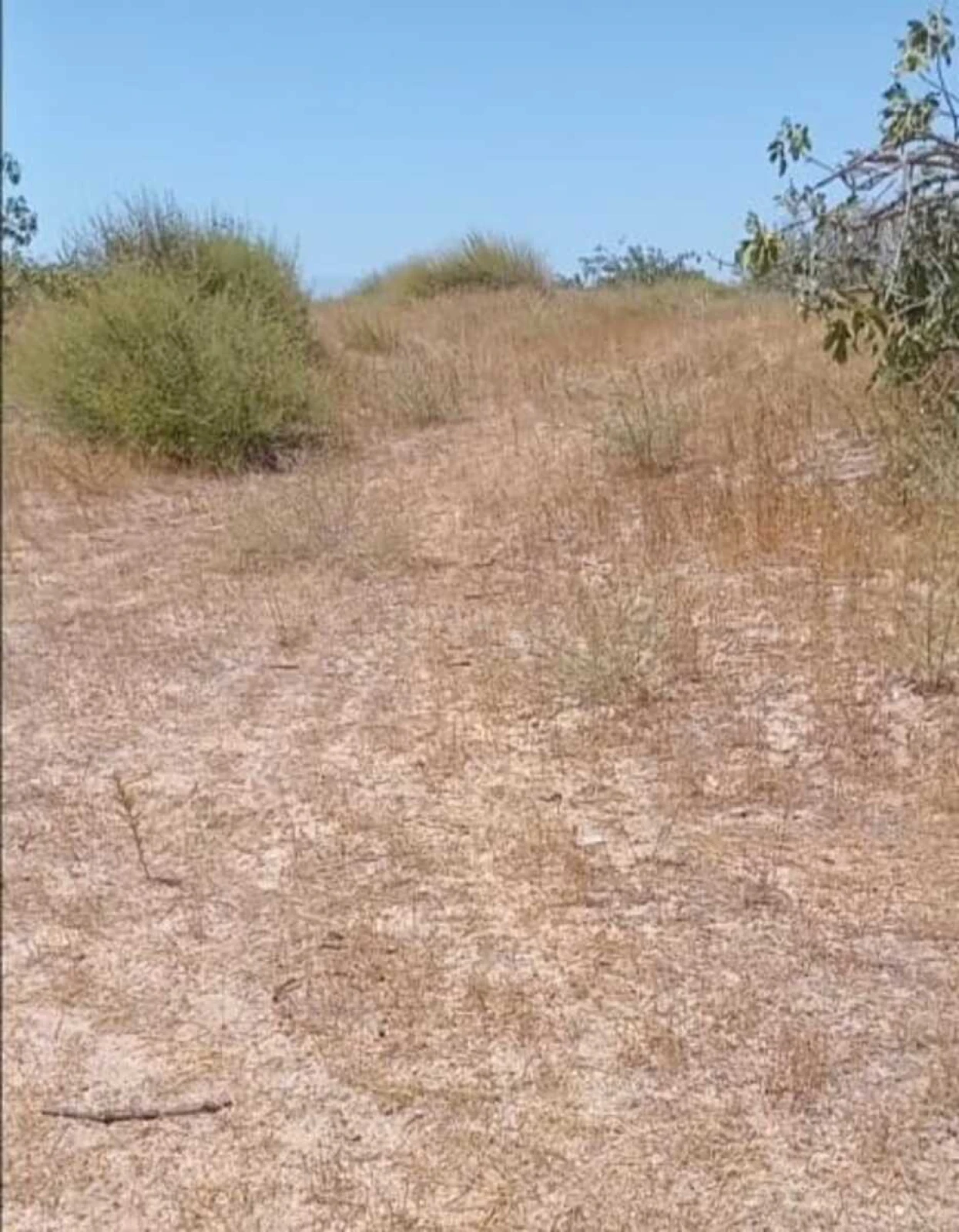 Satılır torpaq sahəsi 12 m²