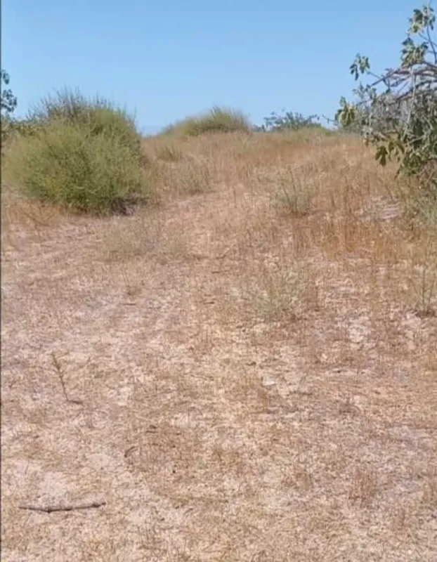 Satılır torpaq sahəsi 12 m²