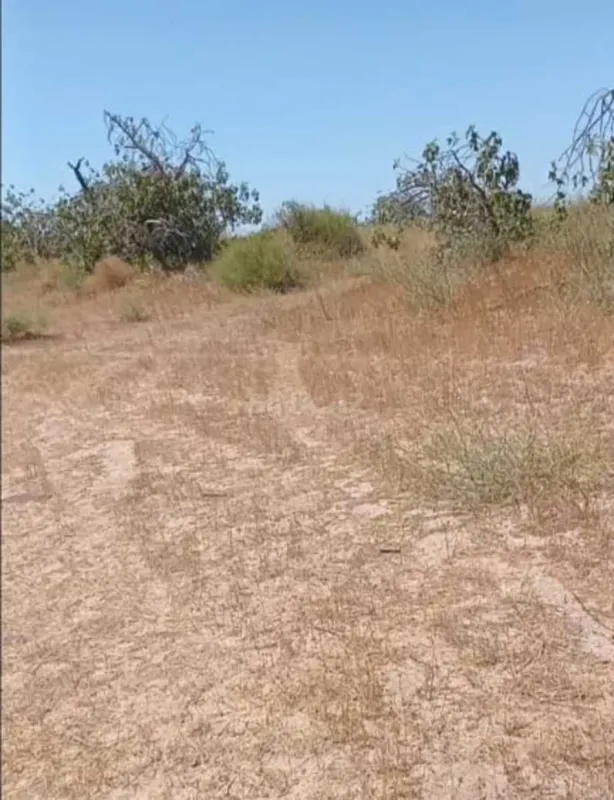 Satılır torpaq sahəsi 12 m²