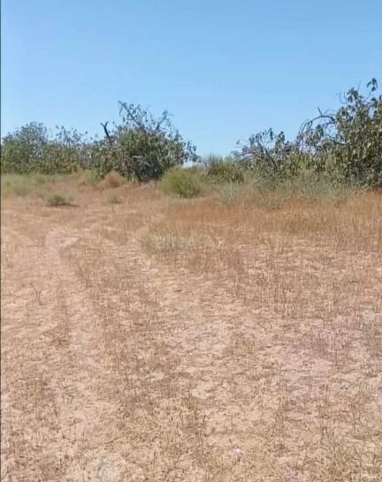 Satılır torpaq sahəsi 12 m²