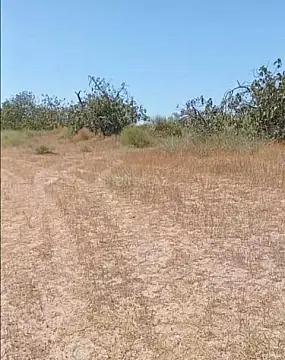 Satılır torpaq sahəsi 12 m²