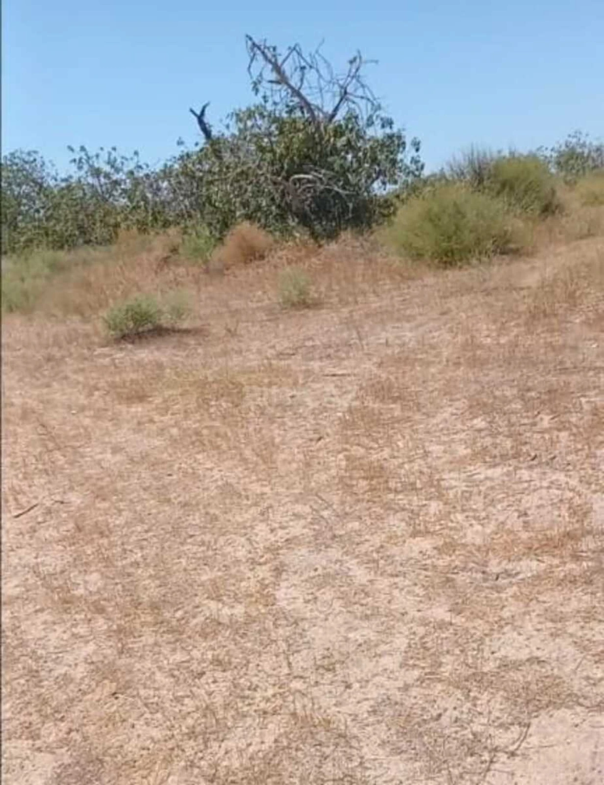 Satılır torpaq sahəsi 12 m²