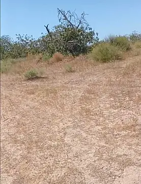 Satılır torpaq sahəsi 12 m²