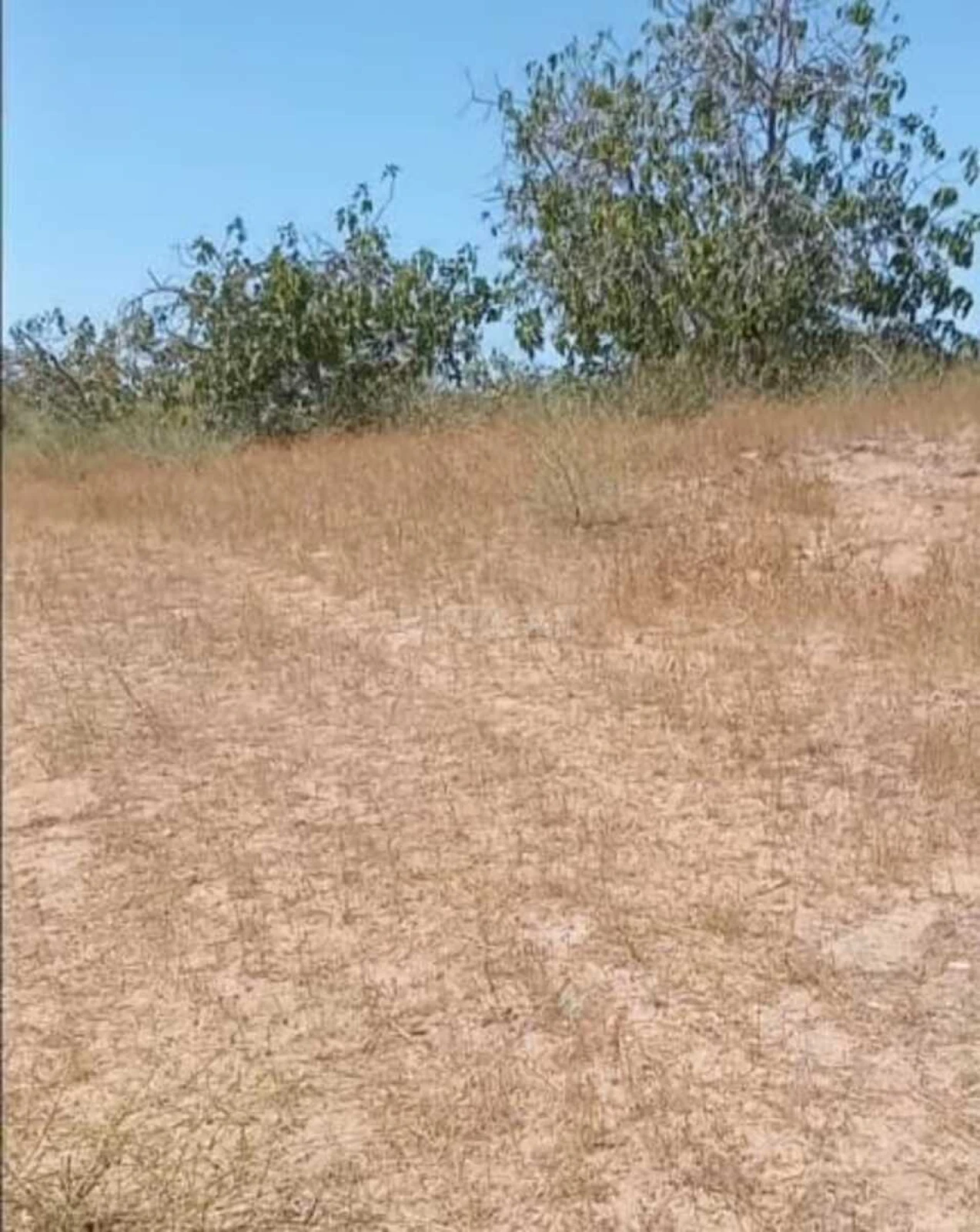 Satılır torpaq sahəsi 12 m²