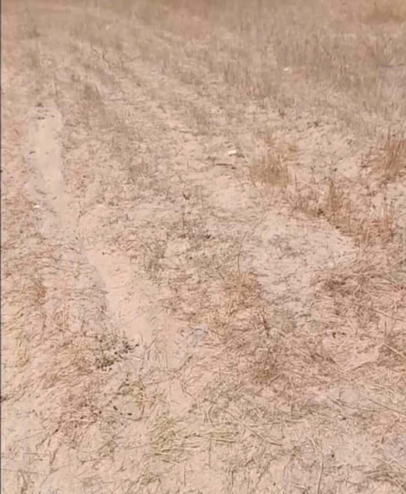 Satılır torpaq sahəsi 12 m²