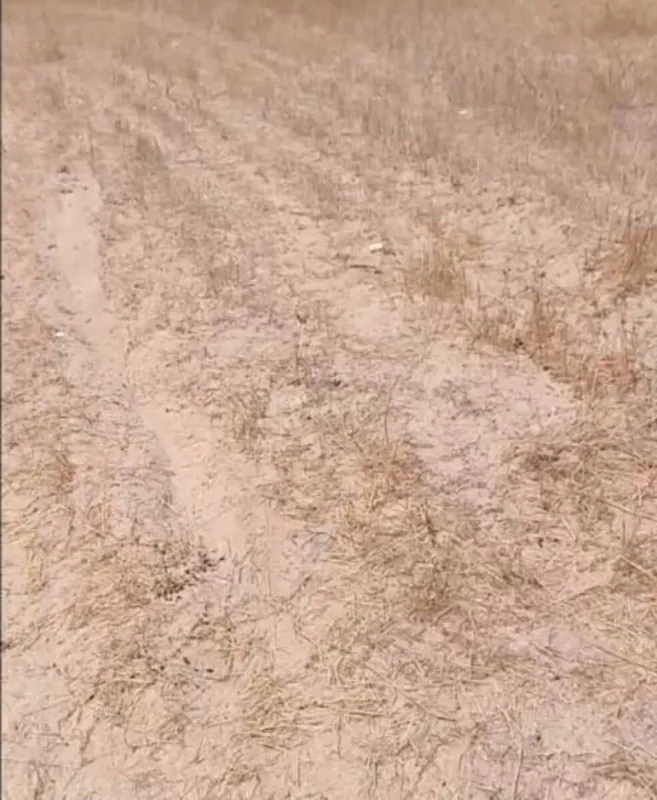 Satılır torpaq sahəsi 12 m²