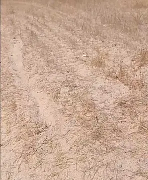 Satılır torpaq sahəsi 12 m²