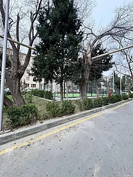 Kirayə verilir 3 otaqlı mənzil 65 m² — Bakı 3 otaq 65.00 m²