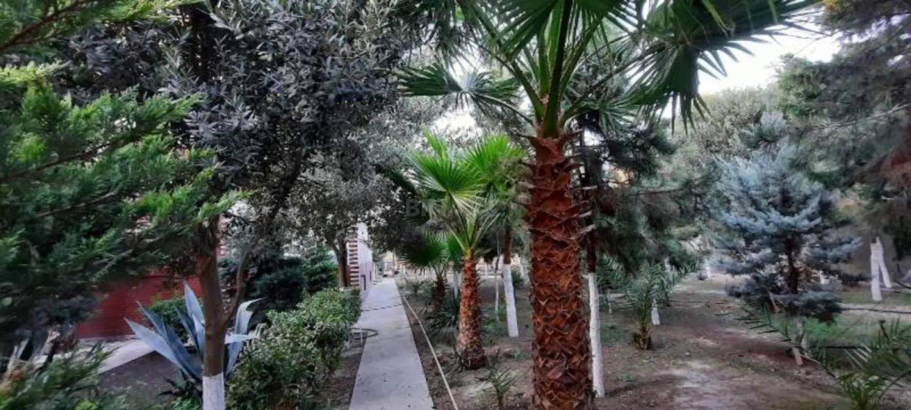 Satılır 6 otaqlı həyət evi 550 m²