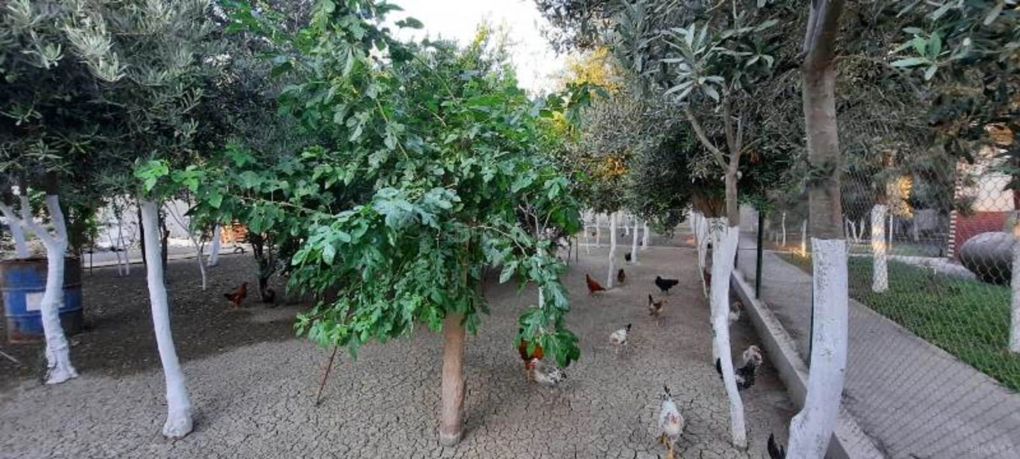 Satılır 6 otaqlı həyət evi 550 m²