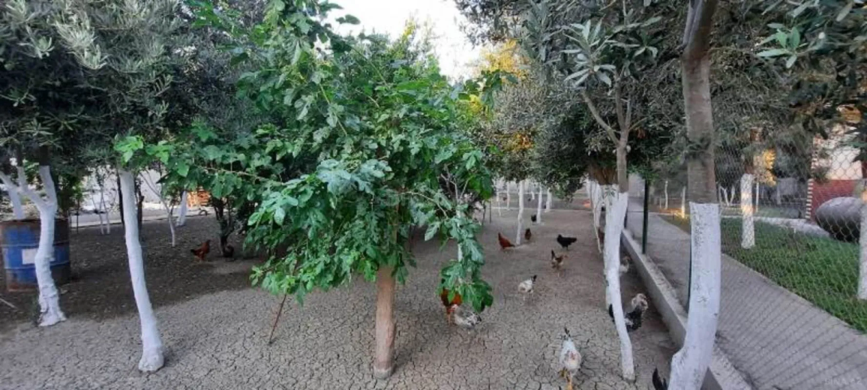 Satılır 6 otaqlı həyət evi 550 m²