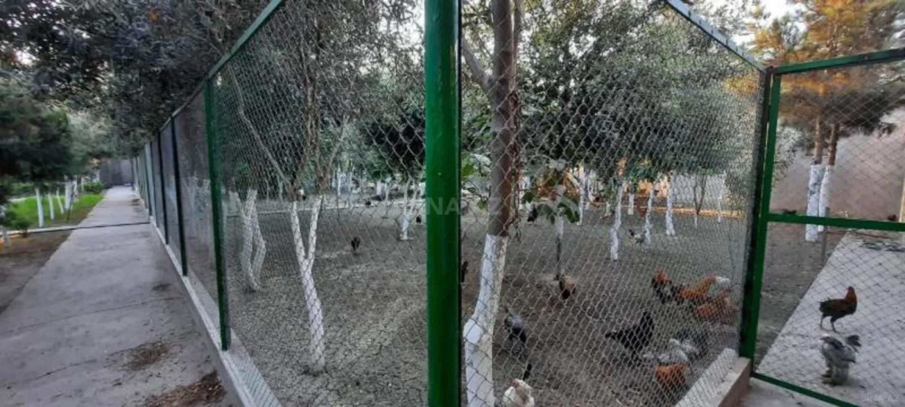 Satılır 6 otaqlı həyət evi 550 m²