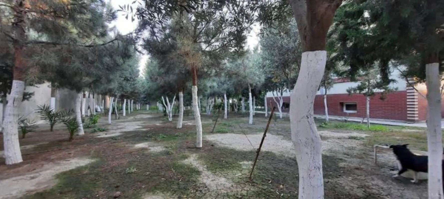 Satılır 6 otaqlı həyət evi 550 m²