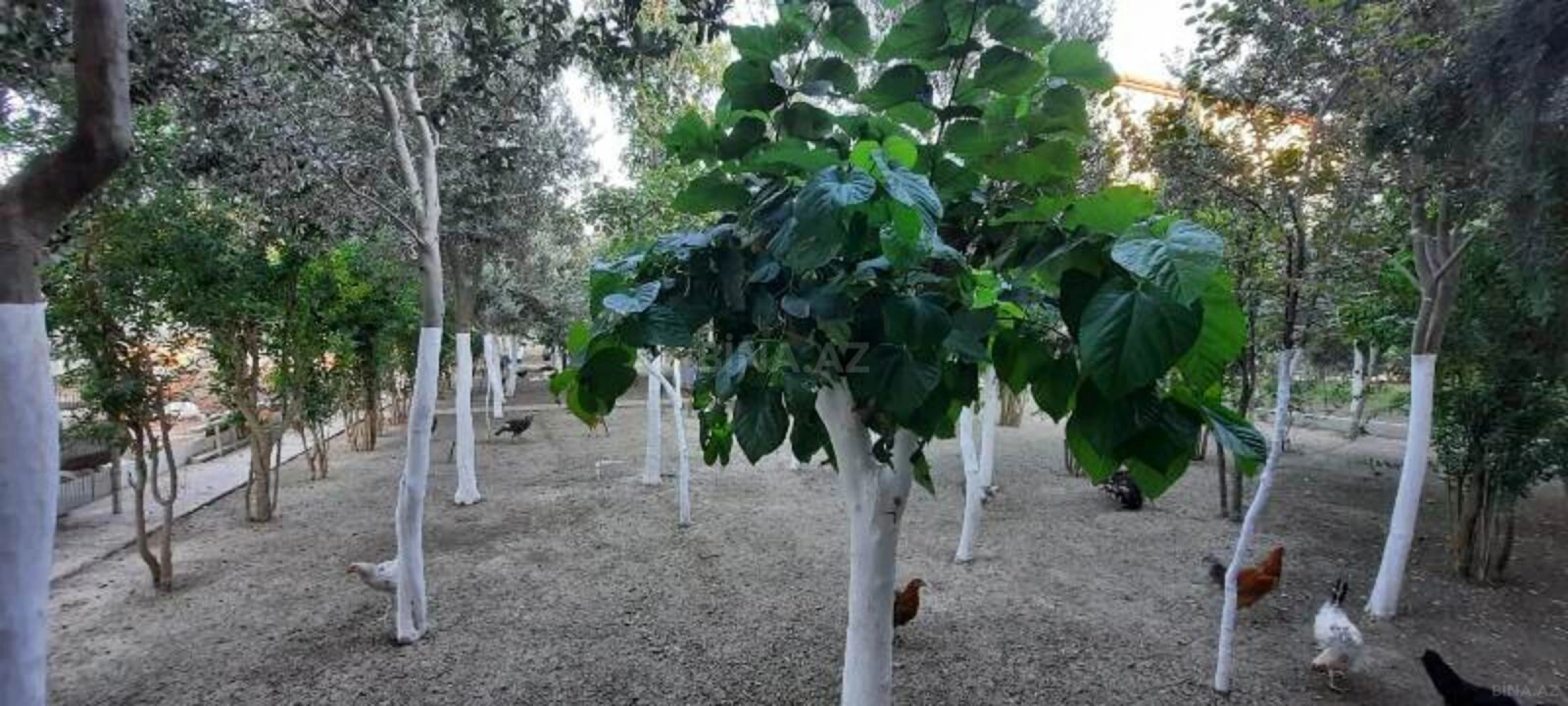 Satılır 6 otaqlı həyət evi 550 m²