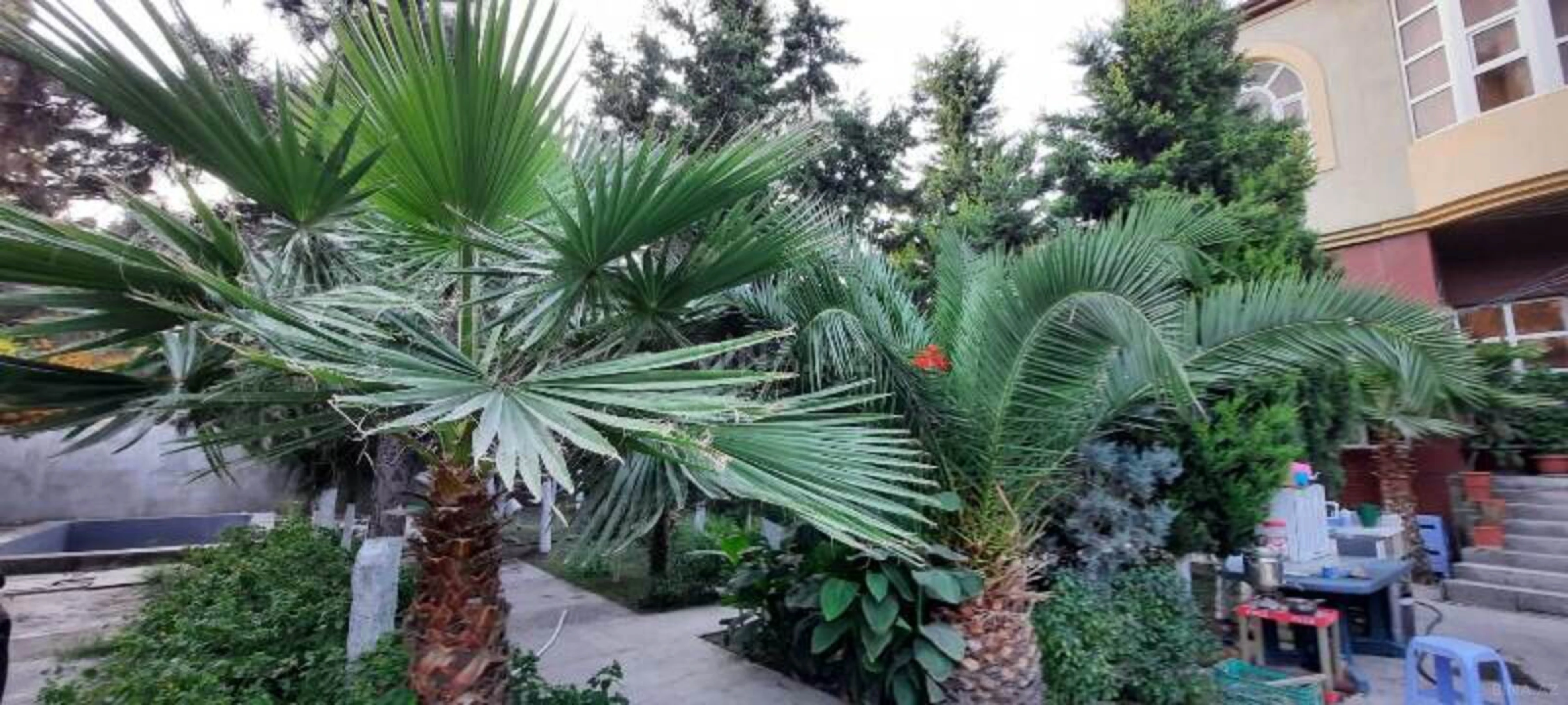 Satılır 6 otaqlı həyət evi 550 m²