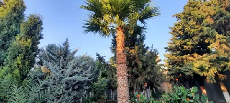 Satılır 6 otaqlı həyət evi 550 m²