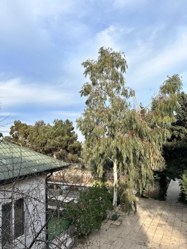 Satılır 11 otaqlı həyət evi 170 m²