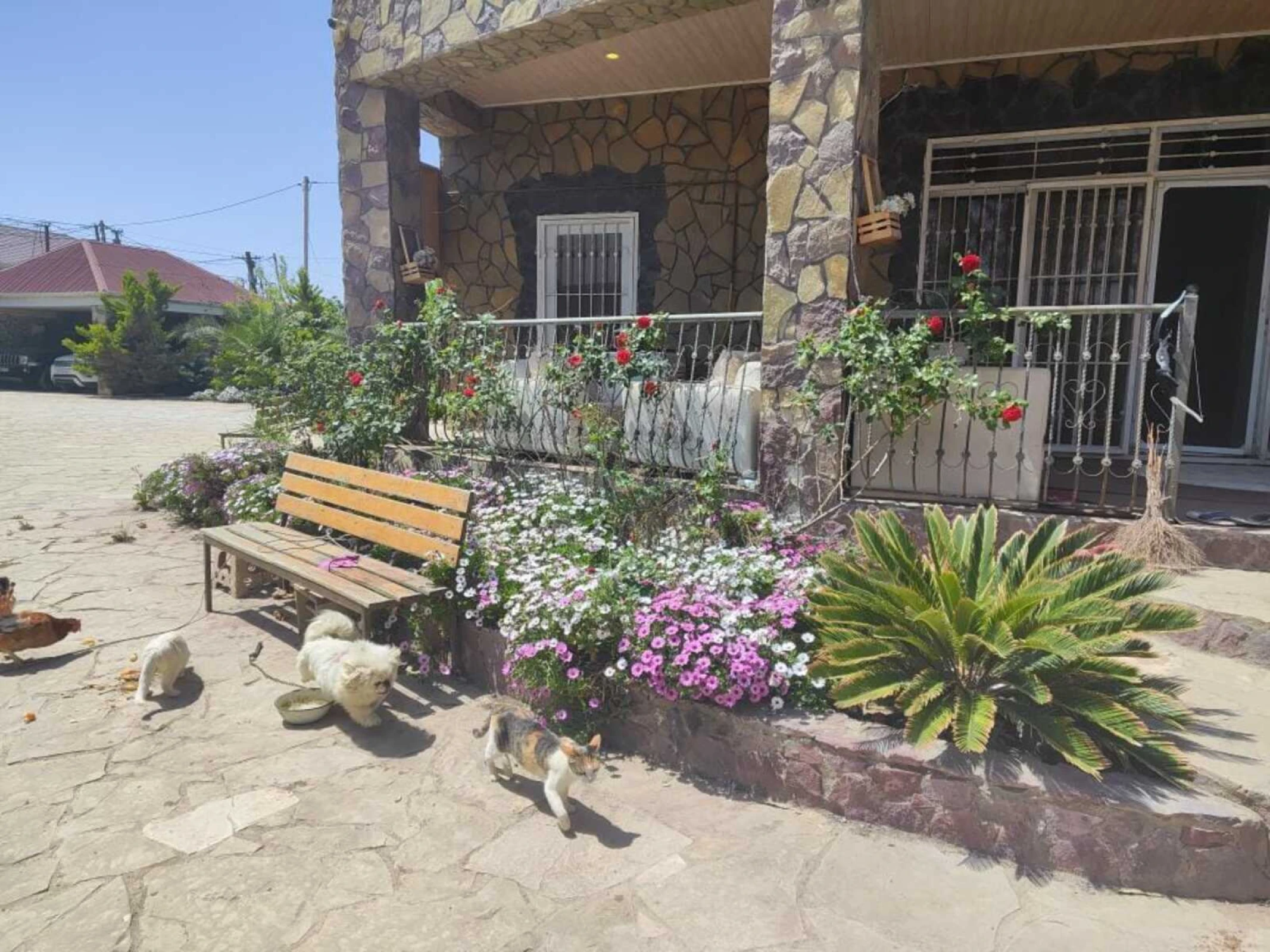 Satılır 7 otaqlı həyət evi 250 m²