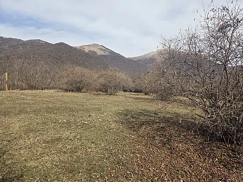 Satılır torpaq sahəsi 10 m² — Qax 10.00 m²