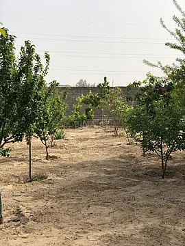 Satılır torpaq sahəsi 12 m²