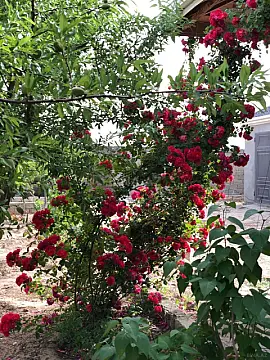 Satılır torpaq sahəsi 12 m²