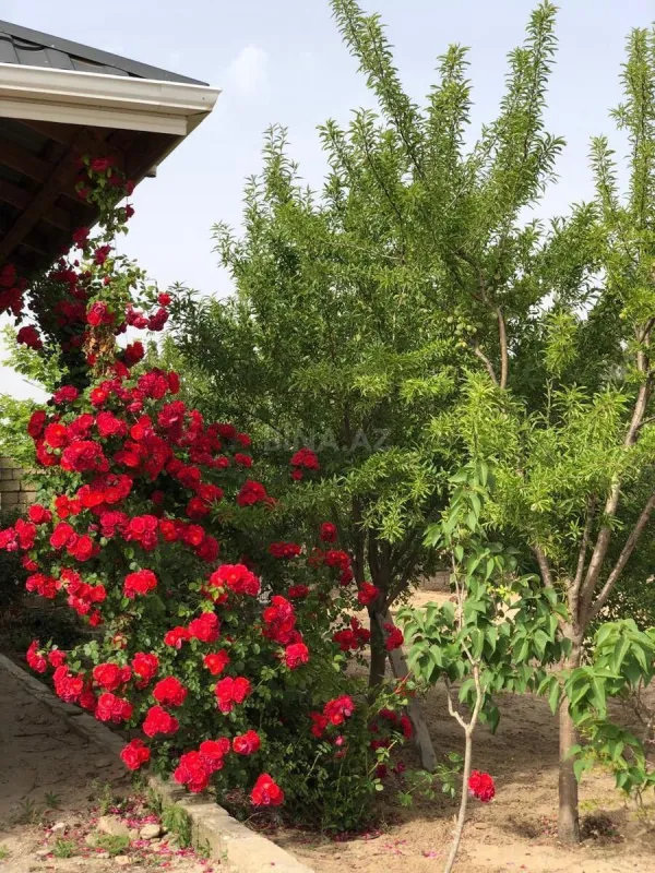 Satılır torpaq sahəsi 12 m²