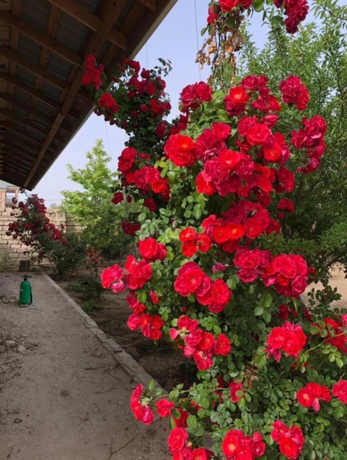 Satılır torpaq sahəsi 12 m²