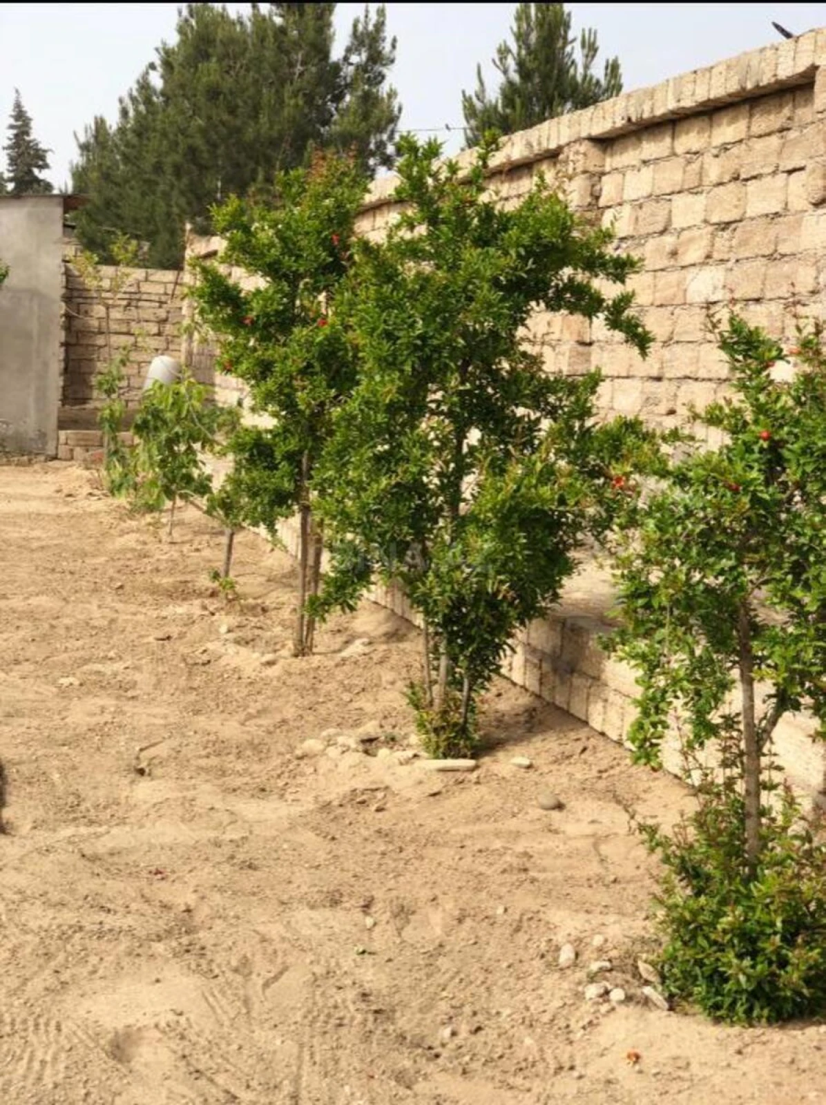 Satılır torpaq sahəsi 12 m²