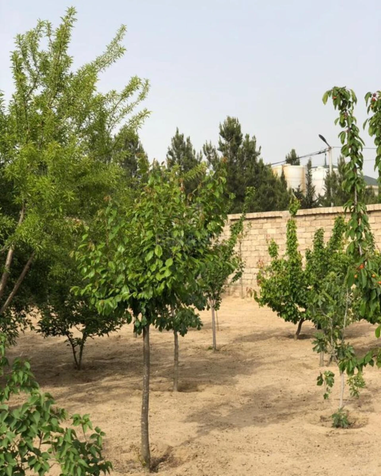 Satılır torpaq sahəsi 12 m²