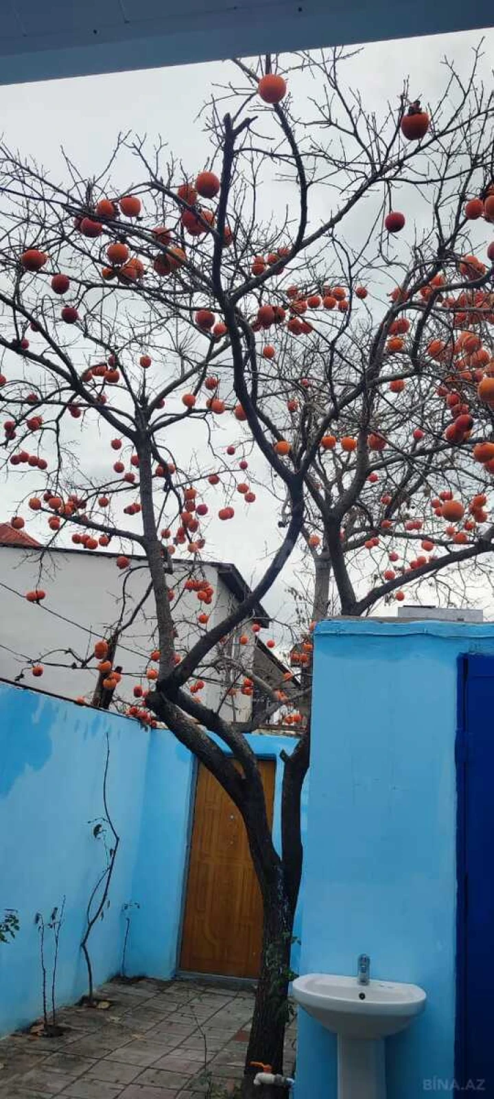 Satılır 3 otaqlı həyət evi 55 m²