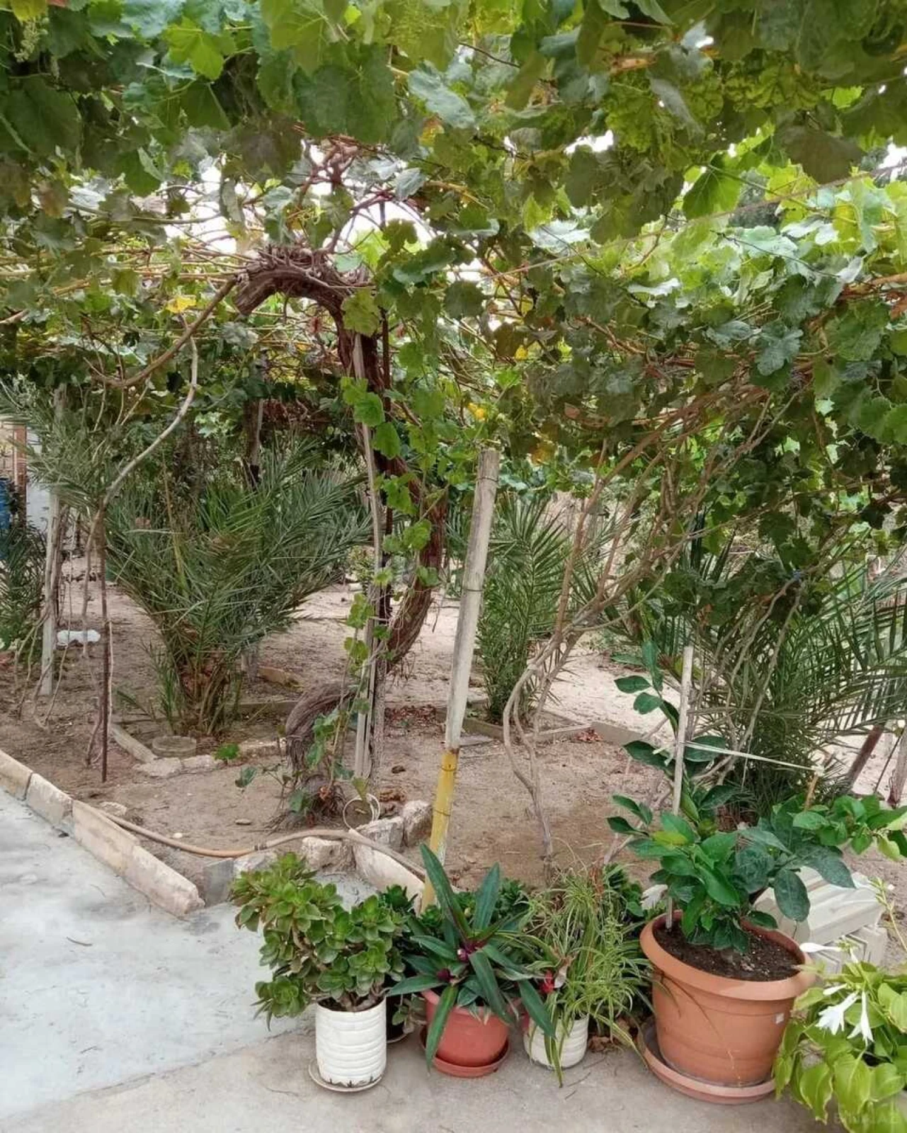 Satılır 6 otaqlı həyət evi 250 m²