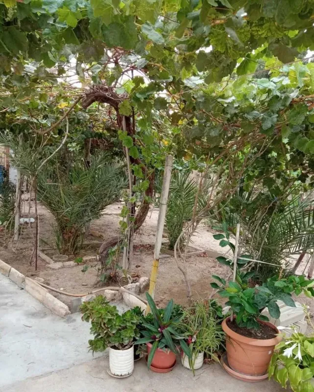 Satılır 6 otaqlı həyət evi 250 m²