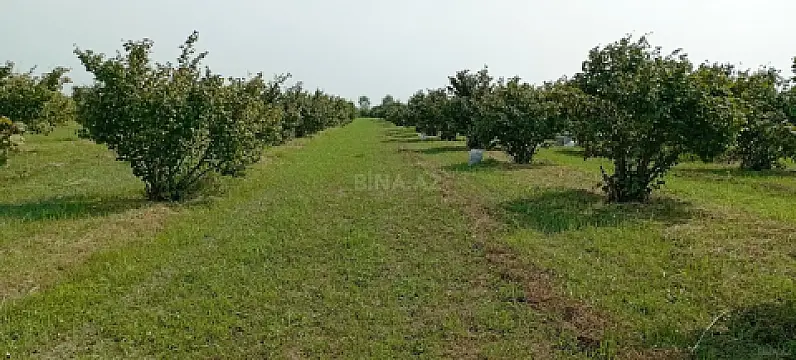 Satılır torpaq sahəsi 120 m²