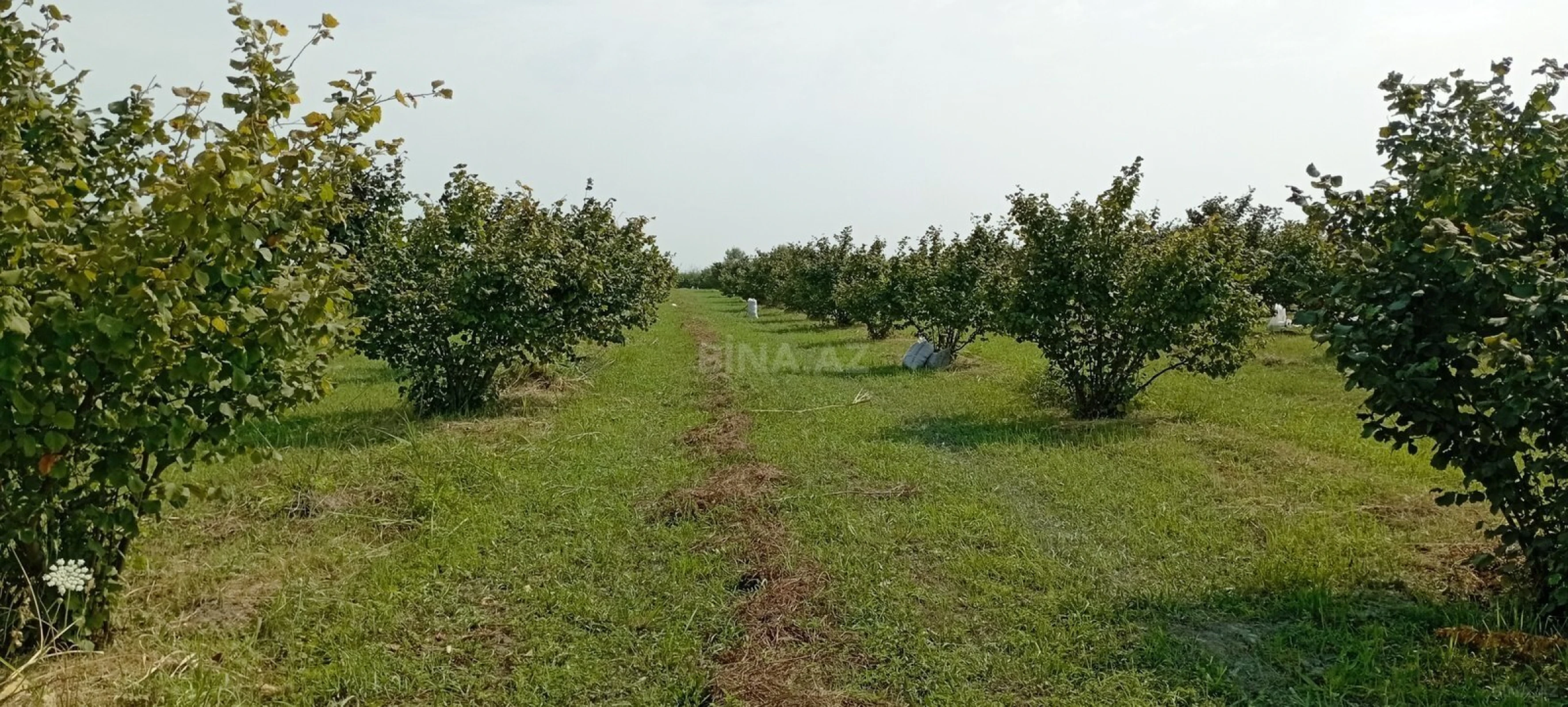 Satılır torpaq sahəsi 120 m²