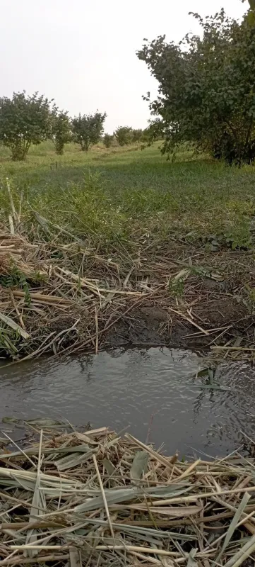 Satılır torpaq sahəsi 120 m²