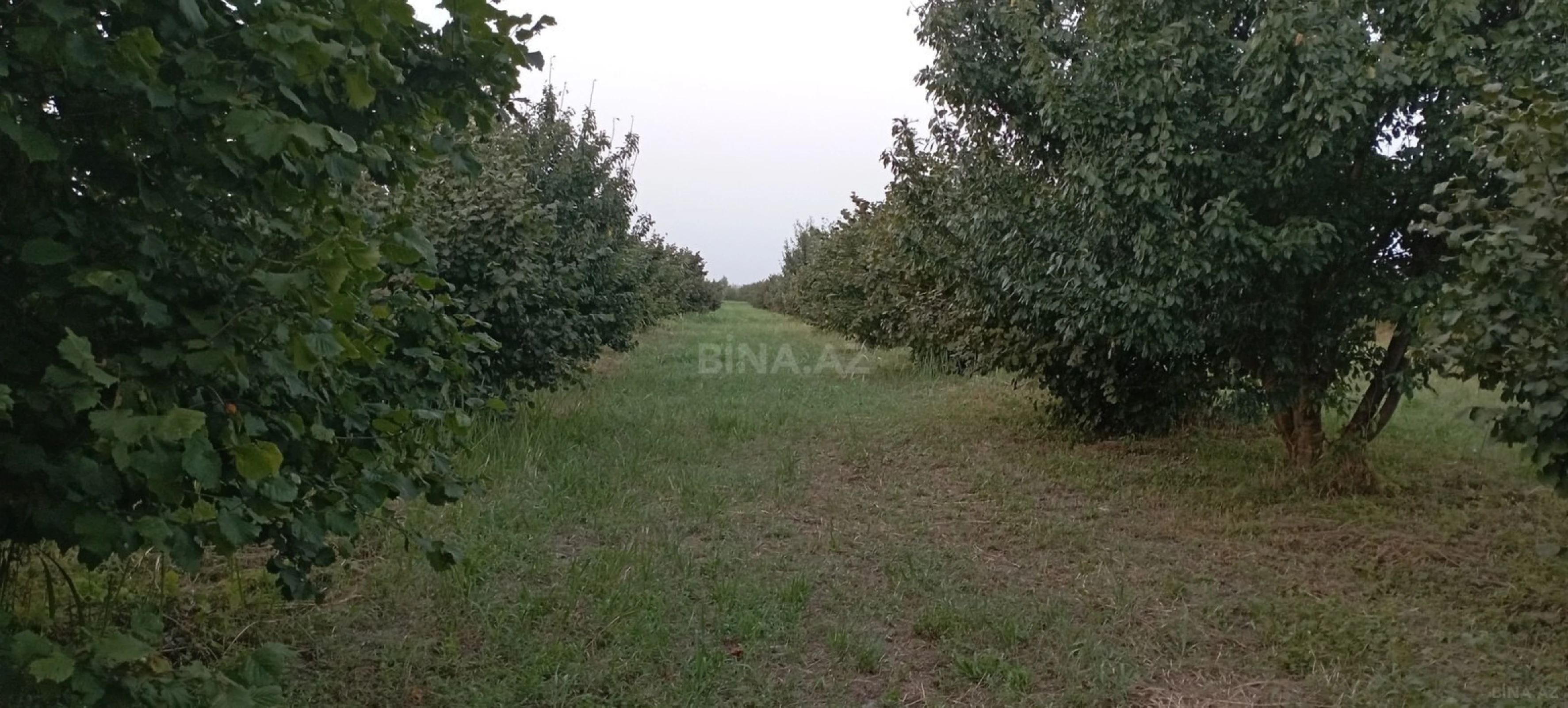 Satılır torpaq sahəsi 120 m²