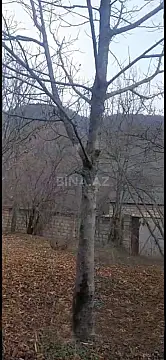 Satılır torpaq sahəsi 6 m² — Qəbələ 6.00 m²