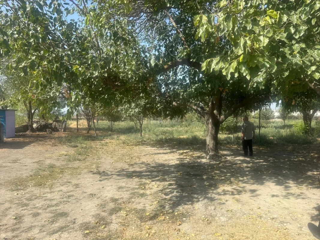 Satılır torpaq sahəsi 100 m²