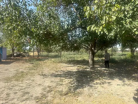 Satılır torpaq sahəsi 100 m²