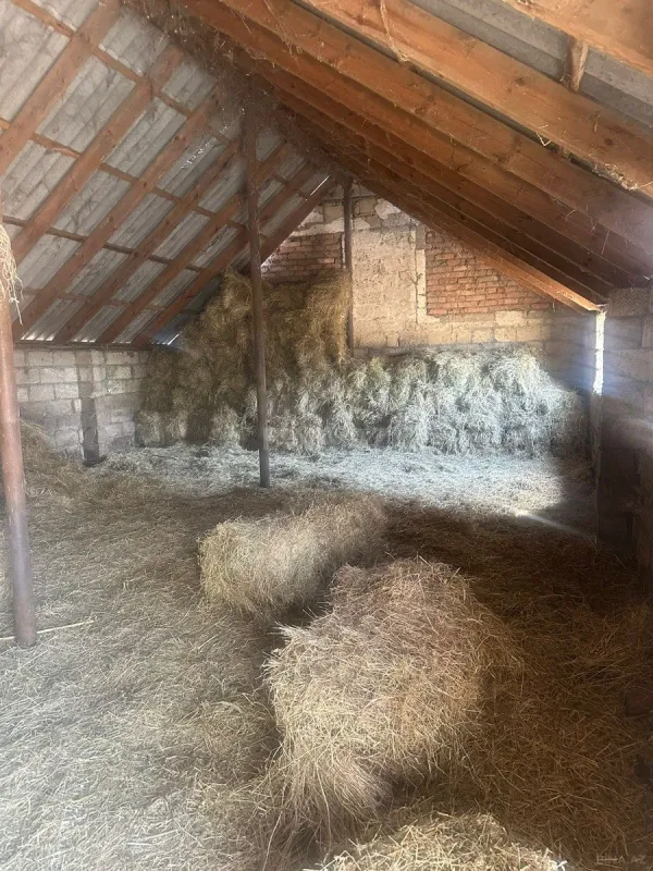 Satılır torpaq sahəsi 100 m²