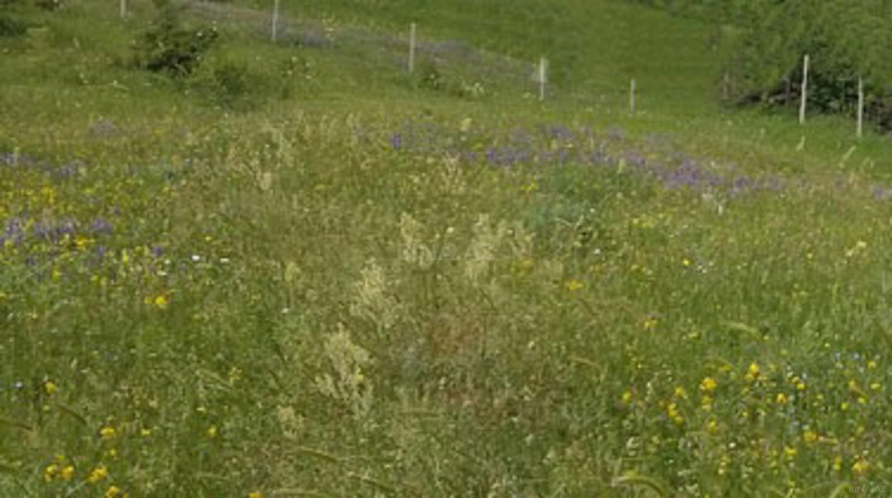 Satılır torpaq sahəsi 12 m²