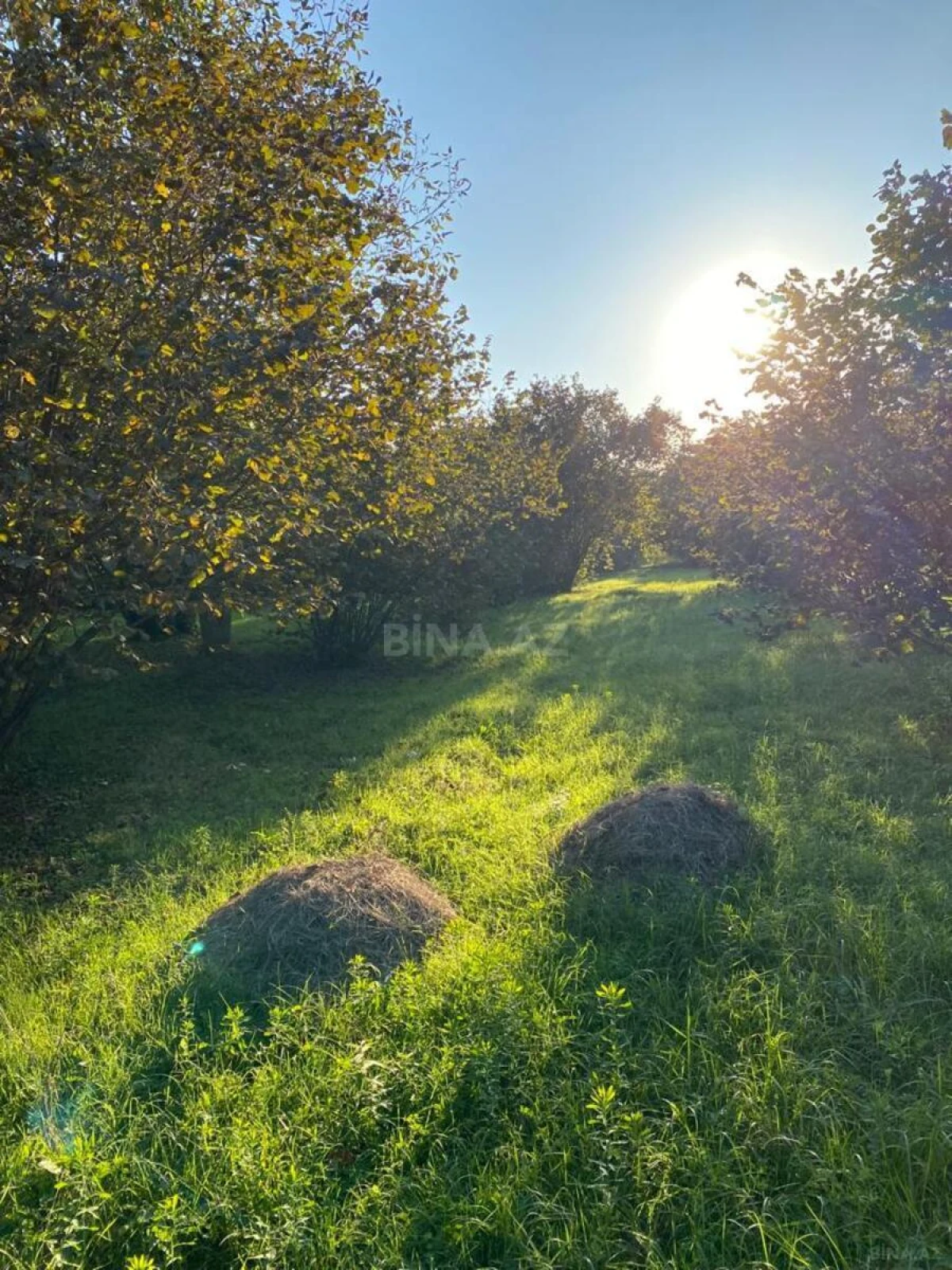 Satılır torpaq sahəsi 120 m²