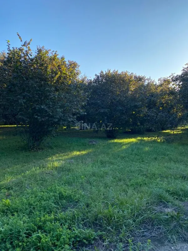 Satılır torpaq sahəsi 120 m²